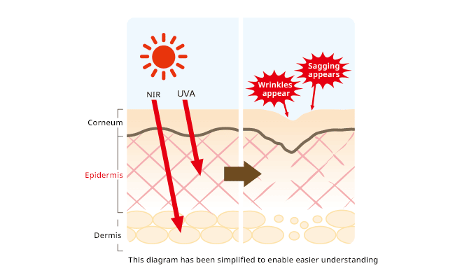 Protect from photoaging | SEKISUI S-LEC